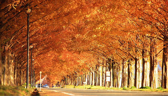 写真提供：（公社）びわ湖高島観光協会